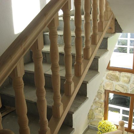 Villa Sofija Kopaonik Extérieur photo