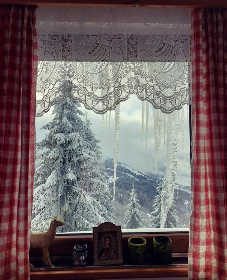 Villa Sofija Kopaonik Extérieur photo